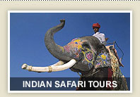 Indian Safari Tours
