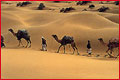 Desert, Rajasthan Tour